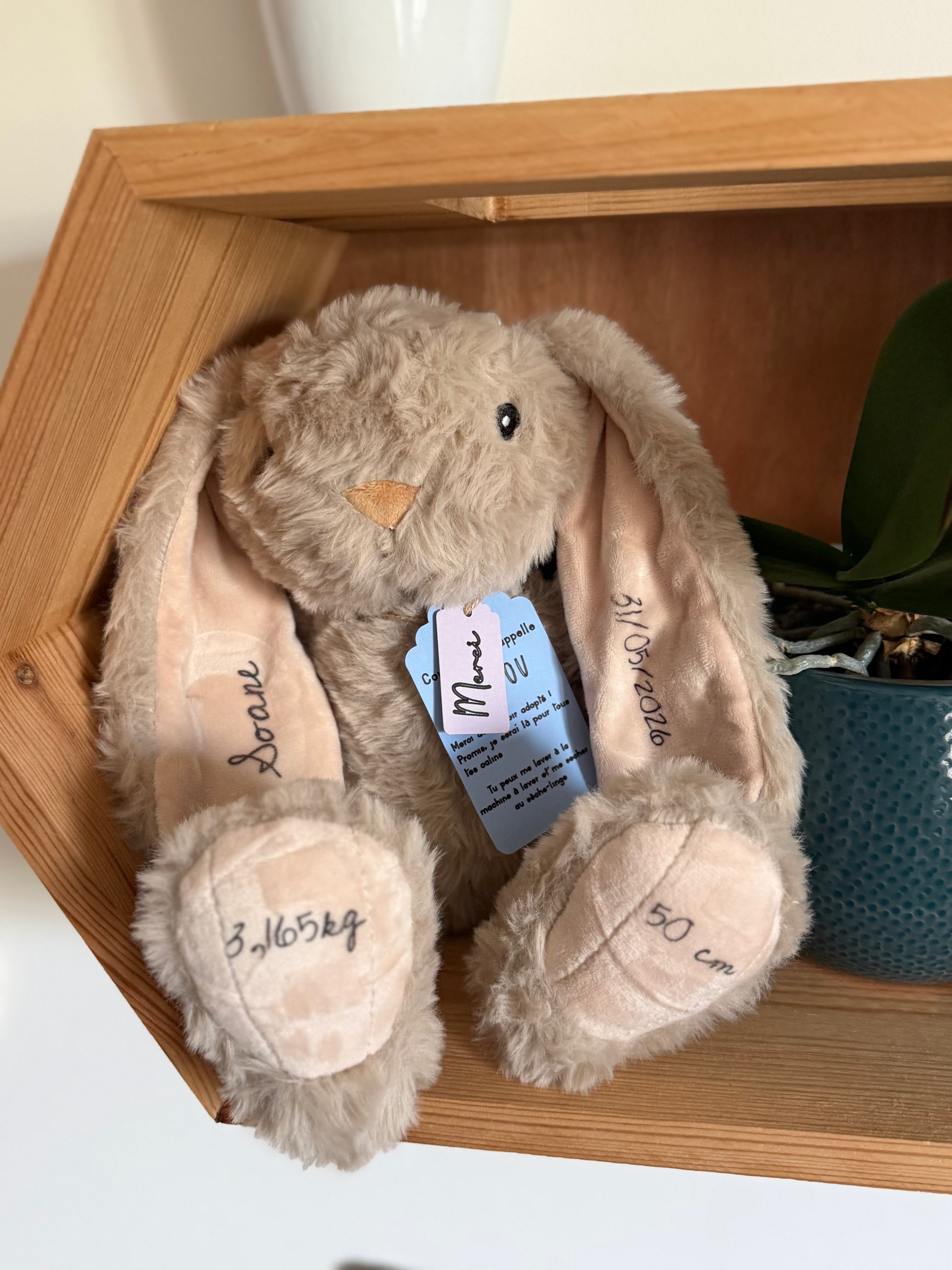 Lapin de naissance personnalisé avec prénom