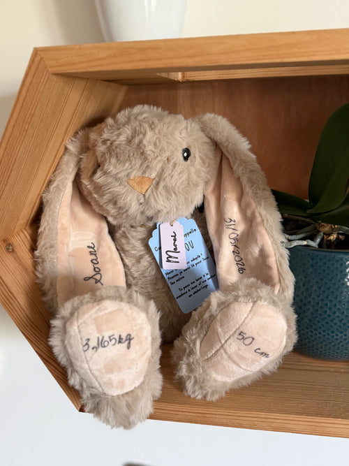 Lapin de naissance personnalisé avec prénom