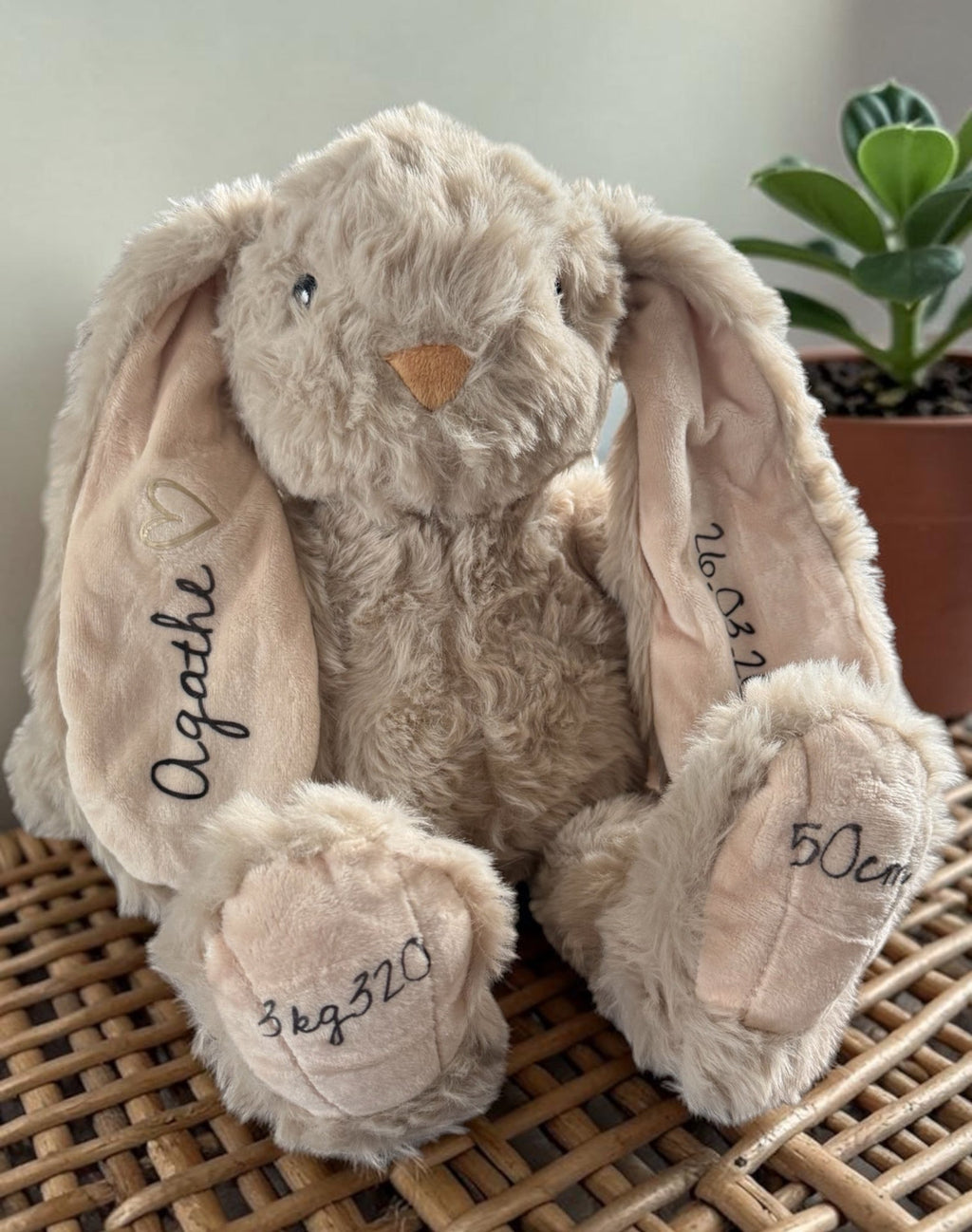 Lapin de naissance personnalisé avec prénom